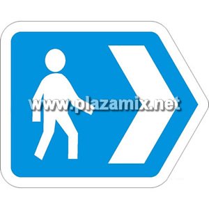 行人方向 Pedestrian direction